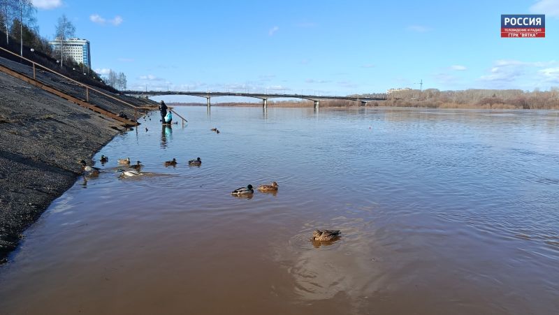 Солнце и южный ветер прогреют в четверг воздух в Кировской области до  17 °C