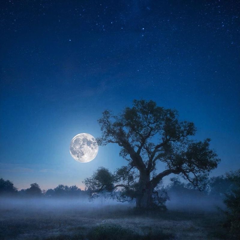 Данные астронома: в мае 2026 года ожидается редкое явление - сразу 2 полнолуния