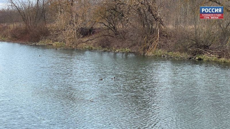 На берегу Люльченки пройдет экологический субботник