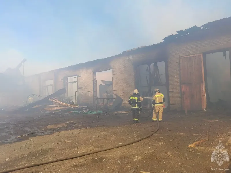 В Лузском районе сгорел цех деревообработки