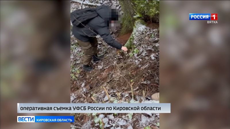 Кировчанку приговорили к 6 годам лишения свободы за торговлю наркотиками