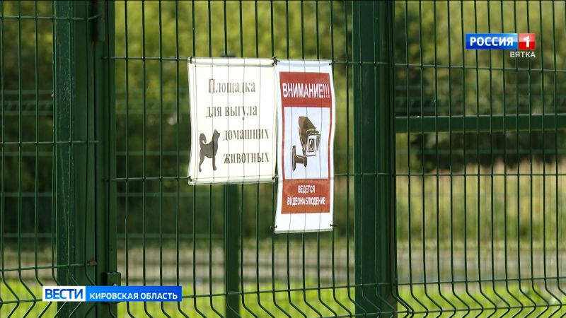 С 1 апреля в России действует новый ГОСТ для правил выгула собак