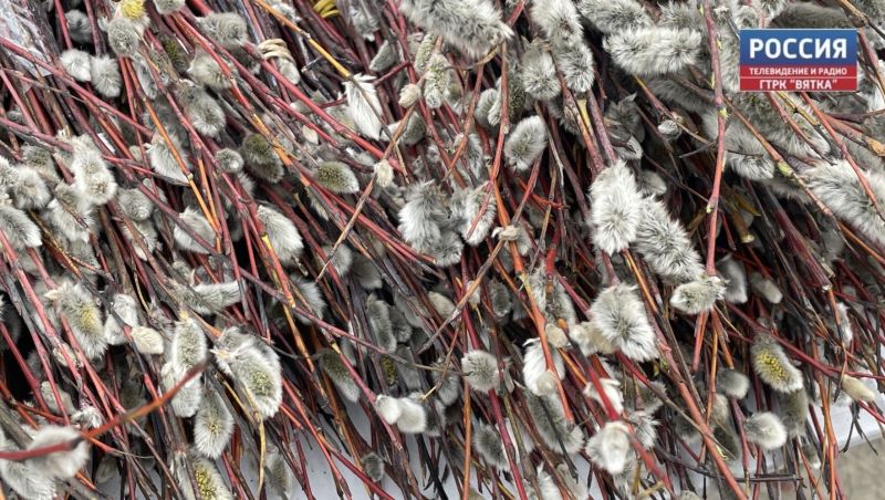 Сегодня православные верующие отмечают Вербное воскресенье