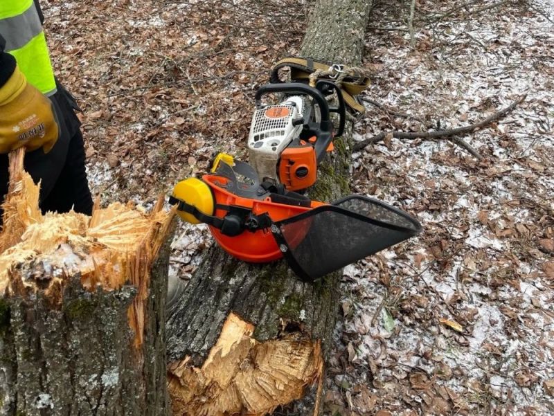 В Кирове убирают ветки и деревья, упавшие из-за сильного ветра
