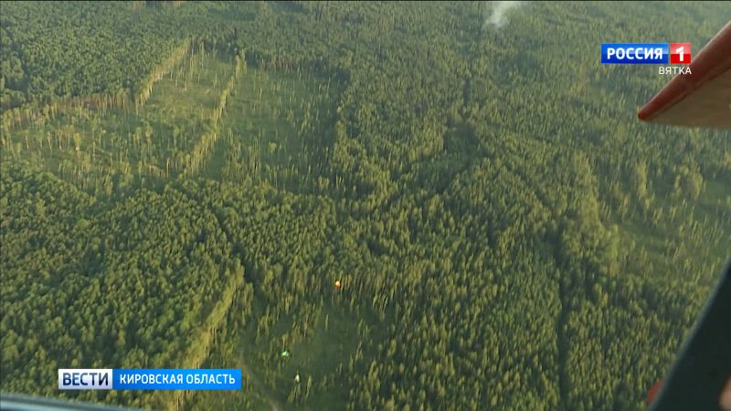 В Кировской области оцифровано более 95% лесного фонда