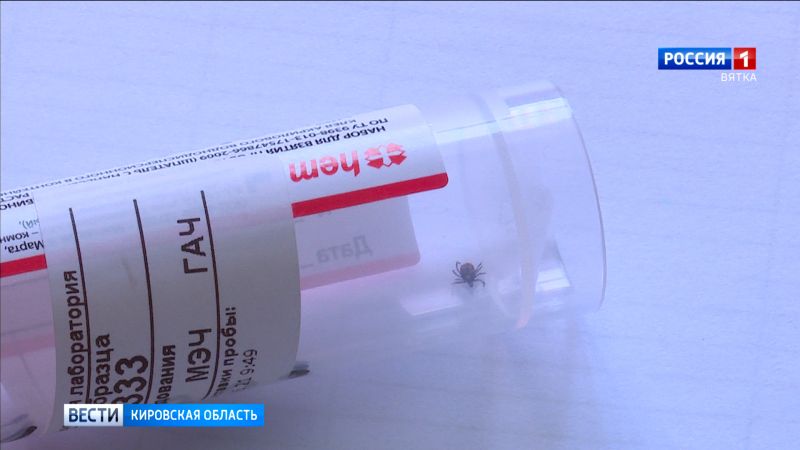 Минздрав Кировской области с 1 мая вводит новый алгоритм оказания медпомощи при присасывании клеща
