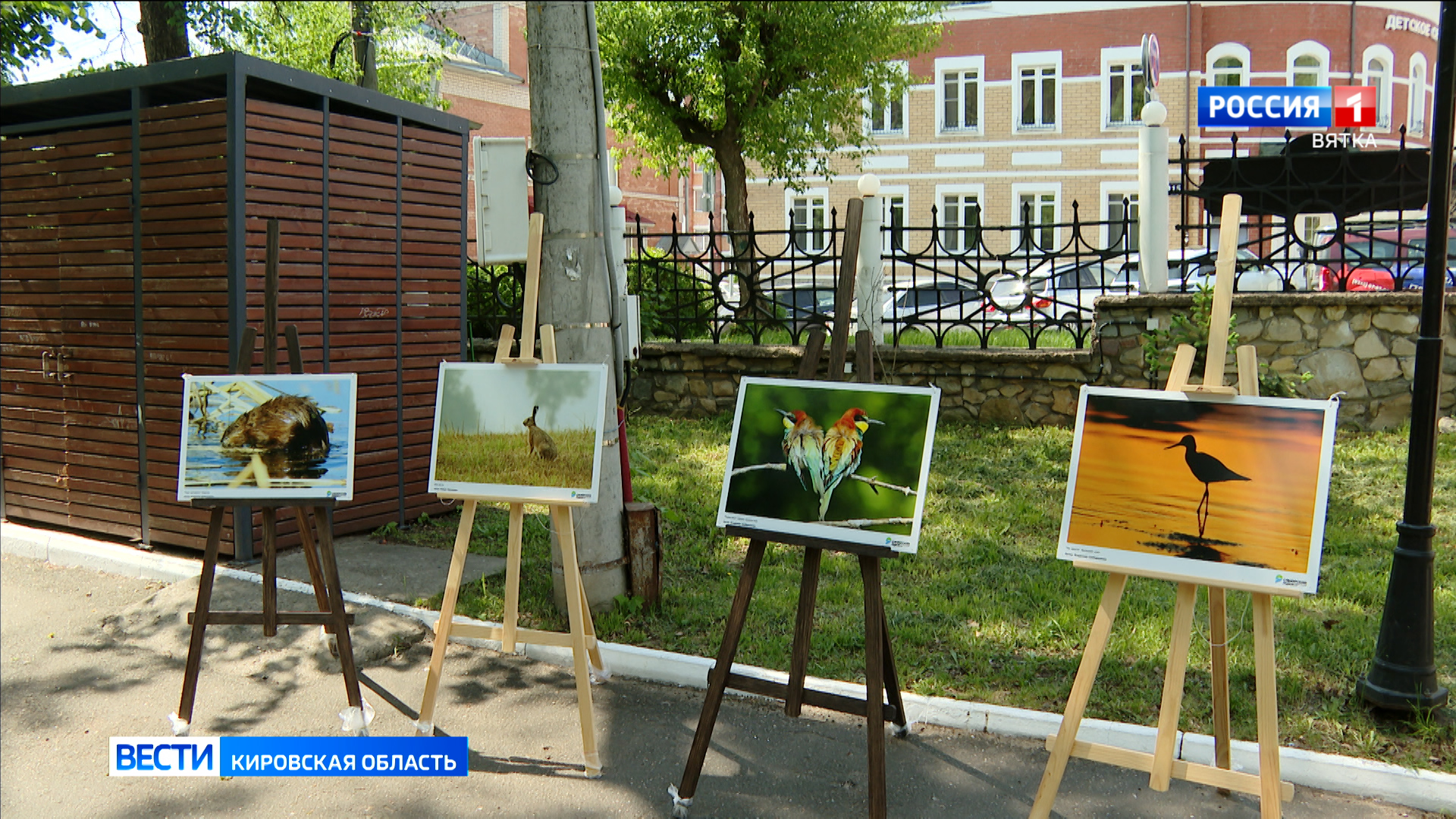 В кировском парке «Аполло» состоялся День биоразнообразия