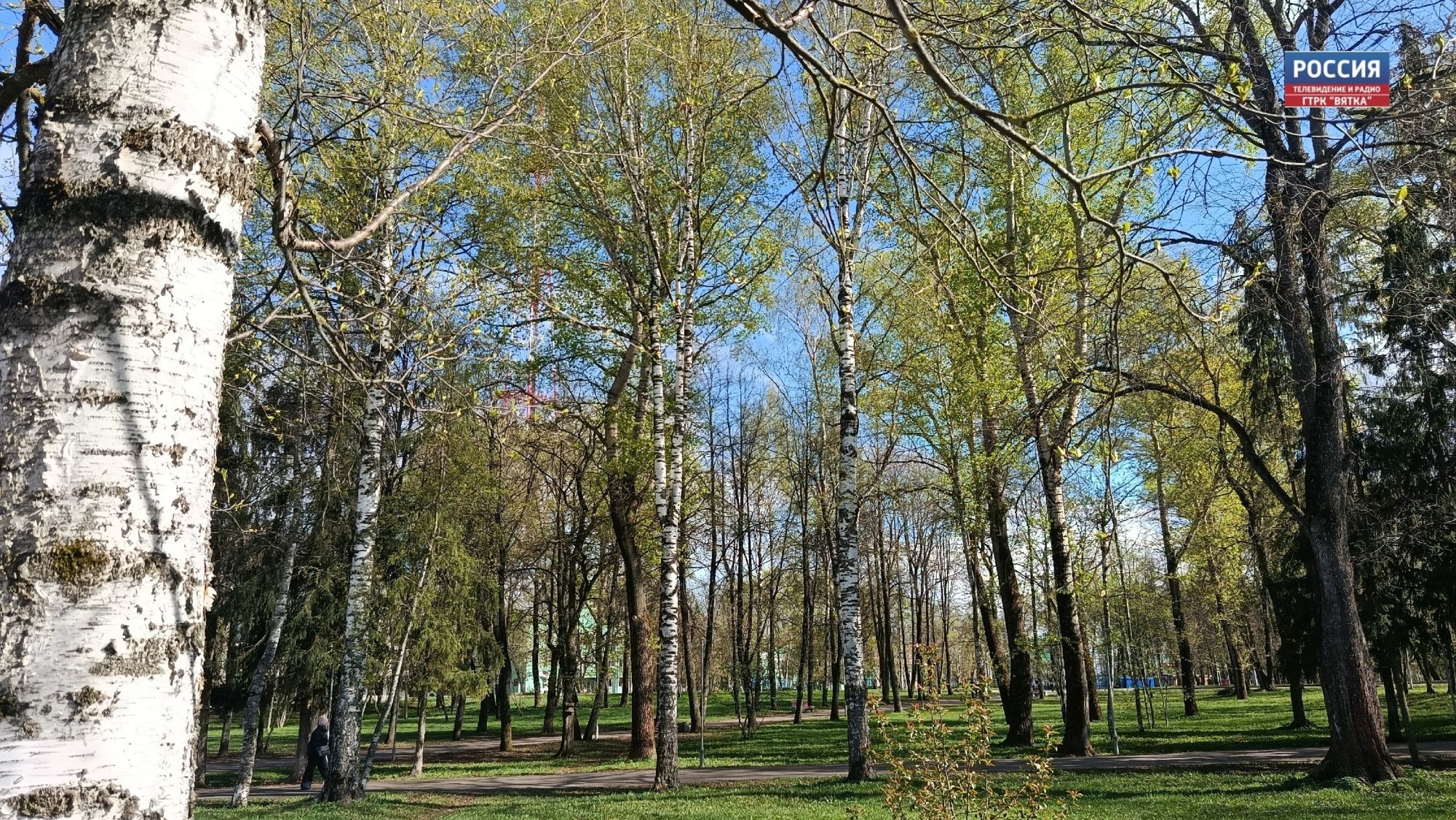В воскресенье в Кировской области преимущественно без осадков