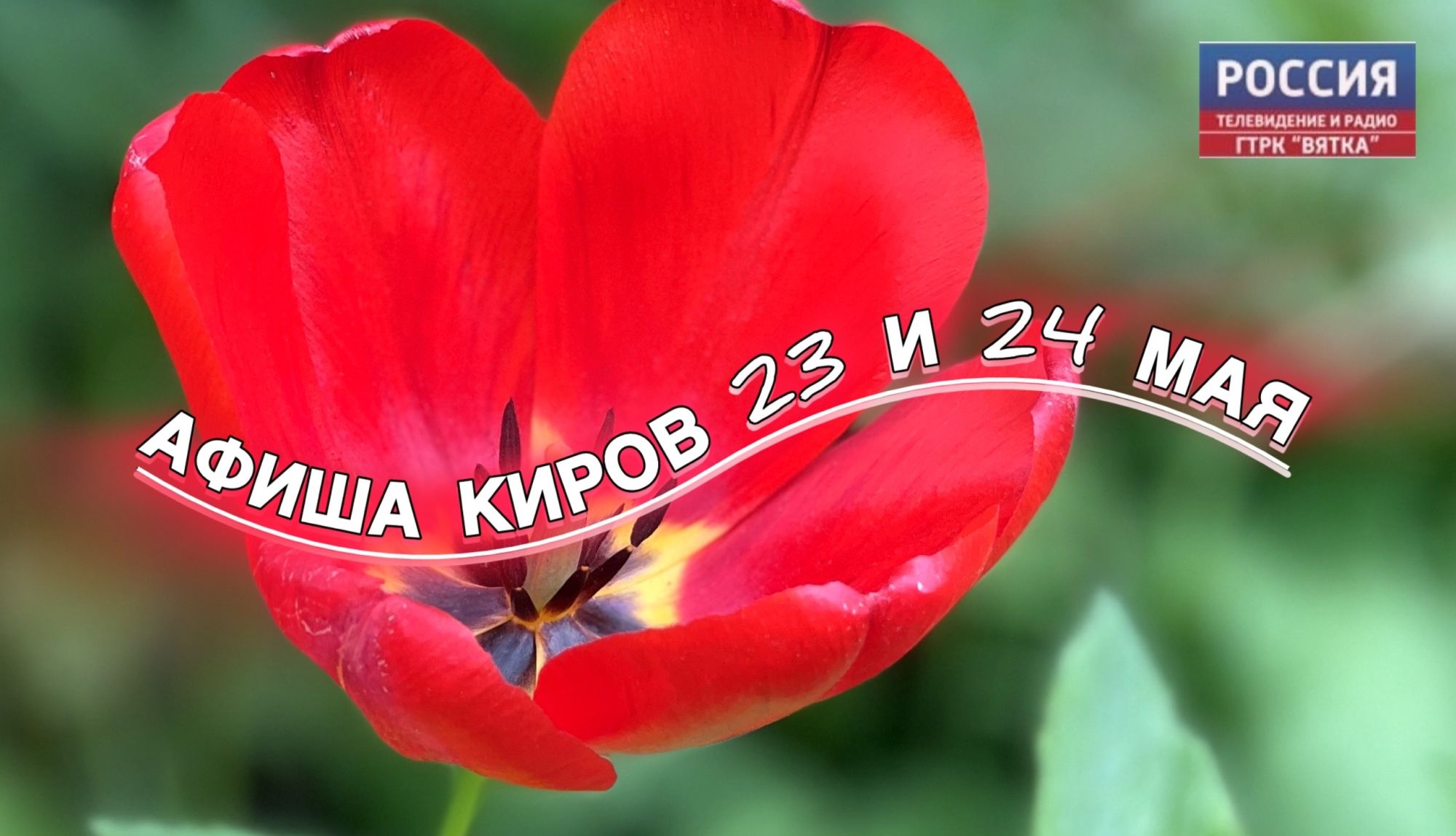 Мероприятия в Кирове 23 и 24 мая: афиша