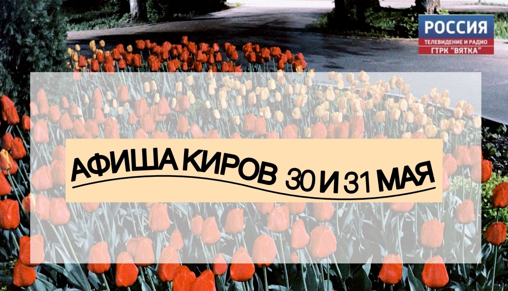 Мероприятия в Кирове 30 и 31 мая: афиша