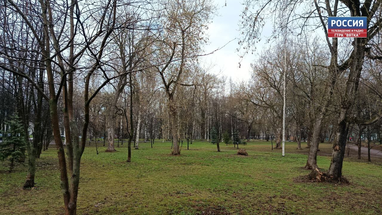 В четверг в Кирове прогнозируют кратковременный сильный дождь, град и грозу