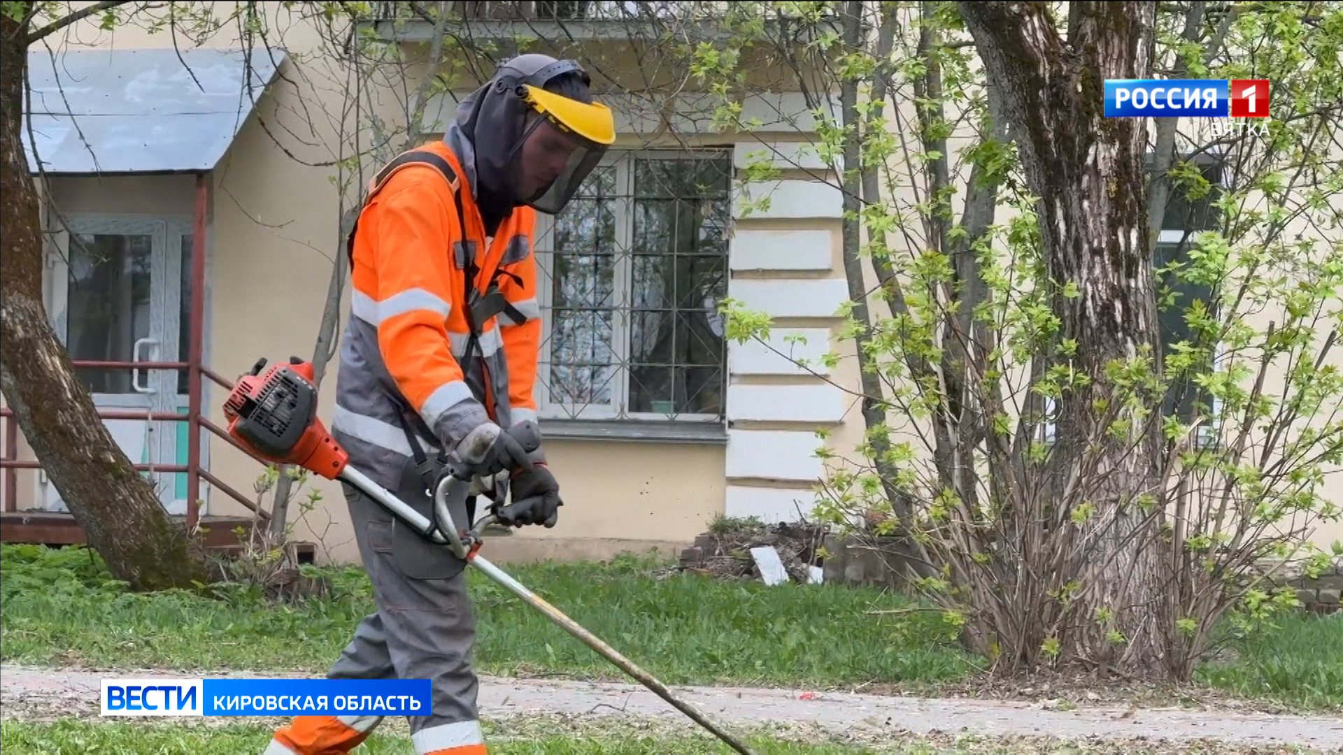 В Кирове подрядные организации приступили ко второму циклу кошения травы