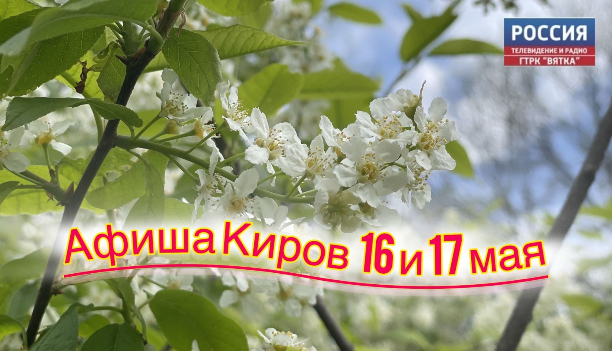 Мероприятия в Кирове 16 и 17 мая: афиша