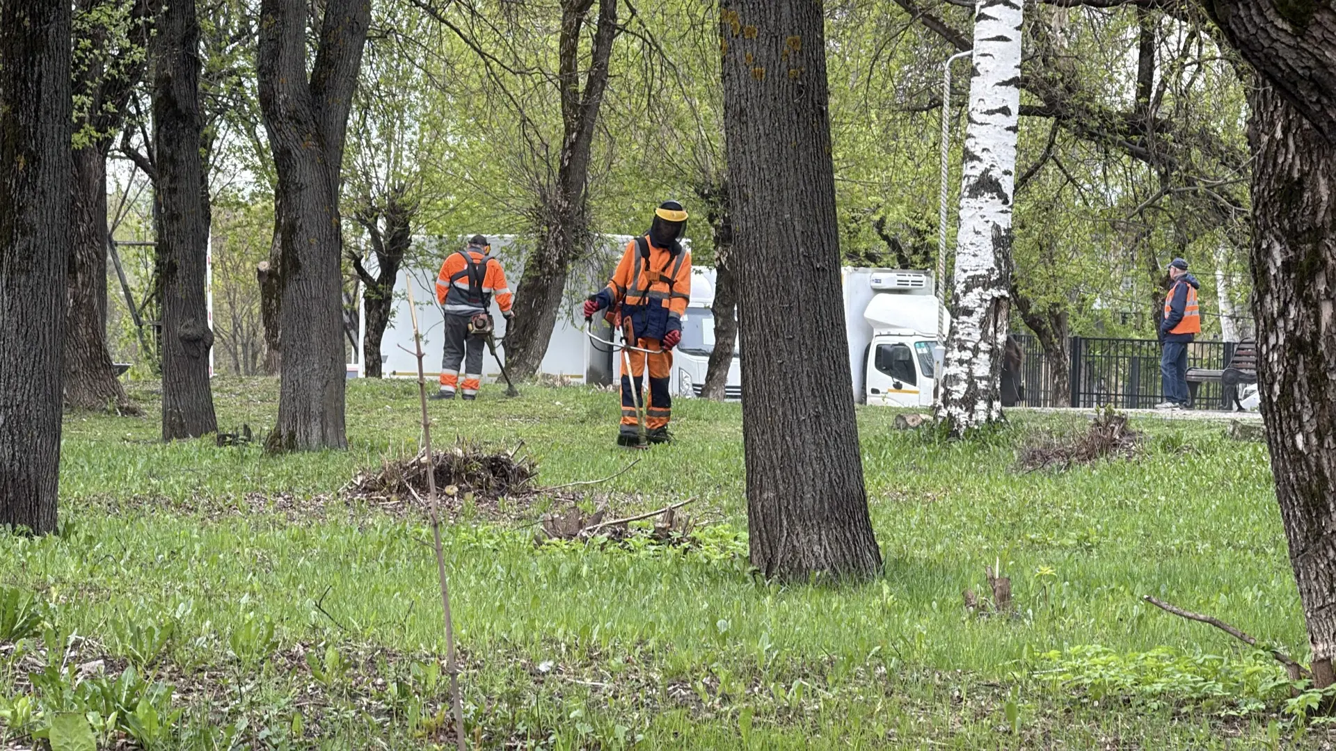 В Кирове подрядчики начали косить газоны