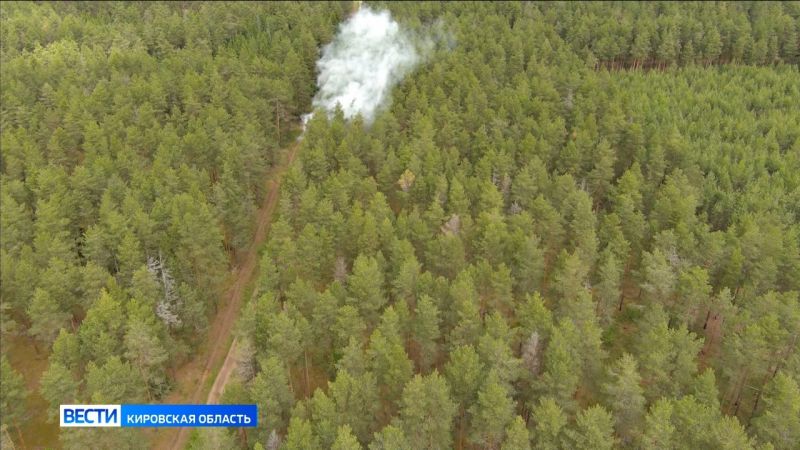В Кировской области зарегистрирован первый лесной пожар