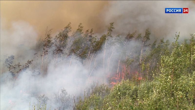 В Вятскополянском и Уржумском районах Кировской области прогнозируют 4 класс пожарной опасности