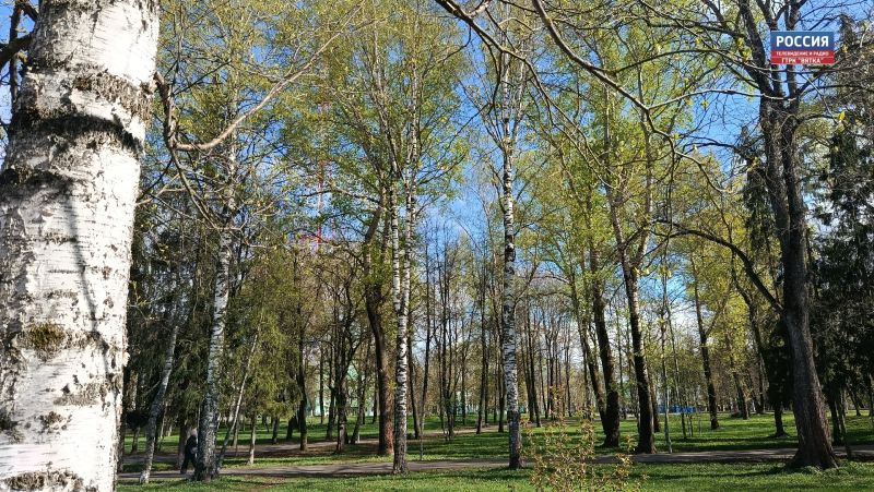 В воскресенье в Кировской области преимущественно без осадков