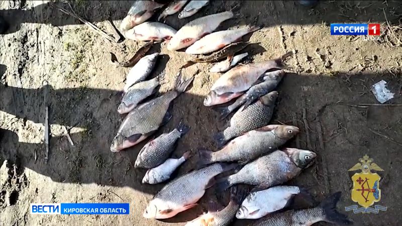 В Слободском районе полицейские задержали браконьеров