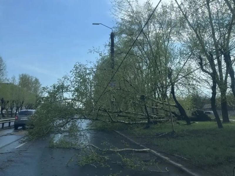 В Кирове убирают последствия непогоды
