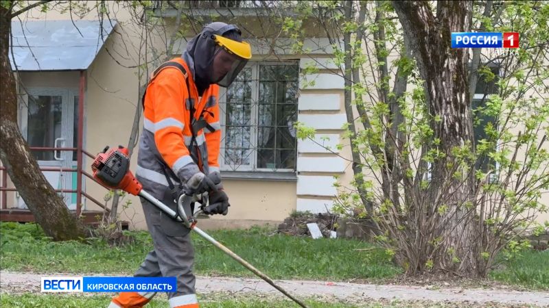 В Кирове подрядные организации приступили ко второму циклу кошения травы