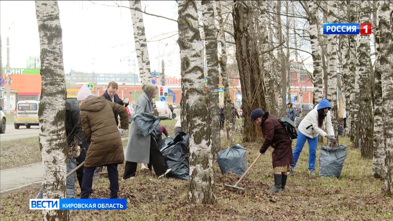 Кировчане очистили берега реки Люльченка в районе «Уткина Парка»