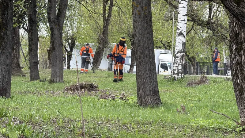 В Кирове подрядчики начали косить газоны