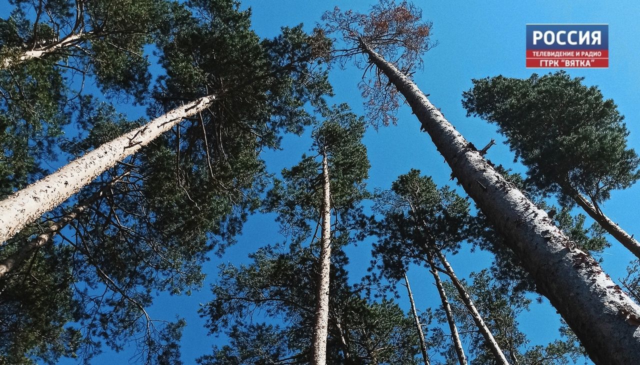 В четверг в Кировской области ожидается кратковременный дождь