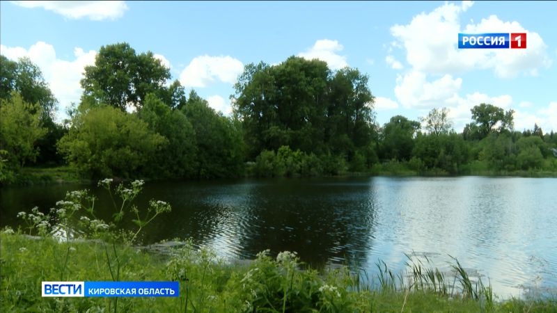 В селе Кокшага после пикника на берегу пруда погибла женщина