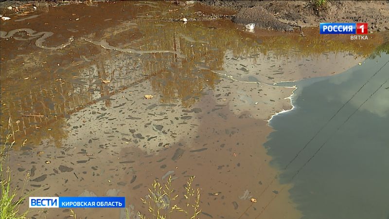В Нововятском районе проверят предприятие, допустившее выпуск сточных вод в реку Чумовица