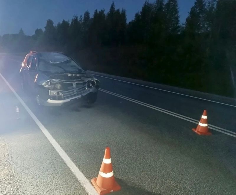 В Юрьянском районе произошло ДТП с лосем