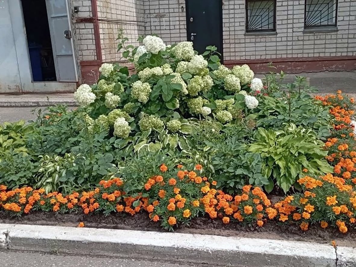 В Кирово-Чепецке продолжается приём заявок на смотр-конкурс «С любовью к городу»