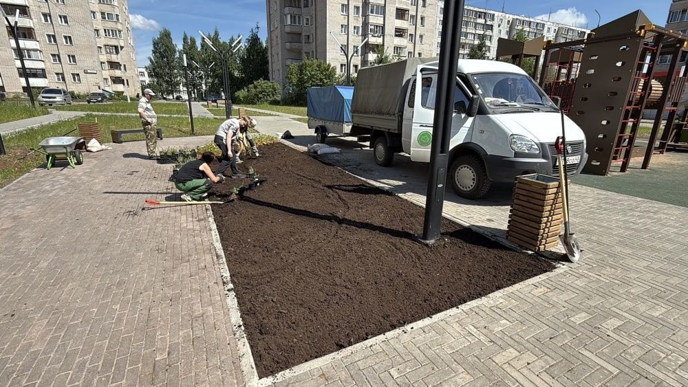В Кирове деревьями и кустарниками озеленяют сквер на улице Р. Юровской