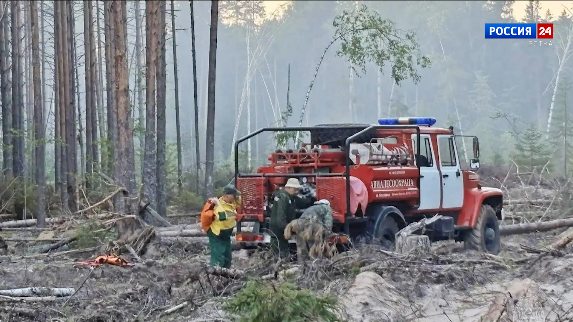 В Немском округе оперативно потушили лесной пожар