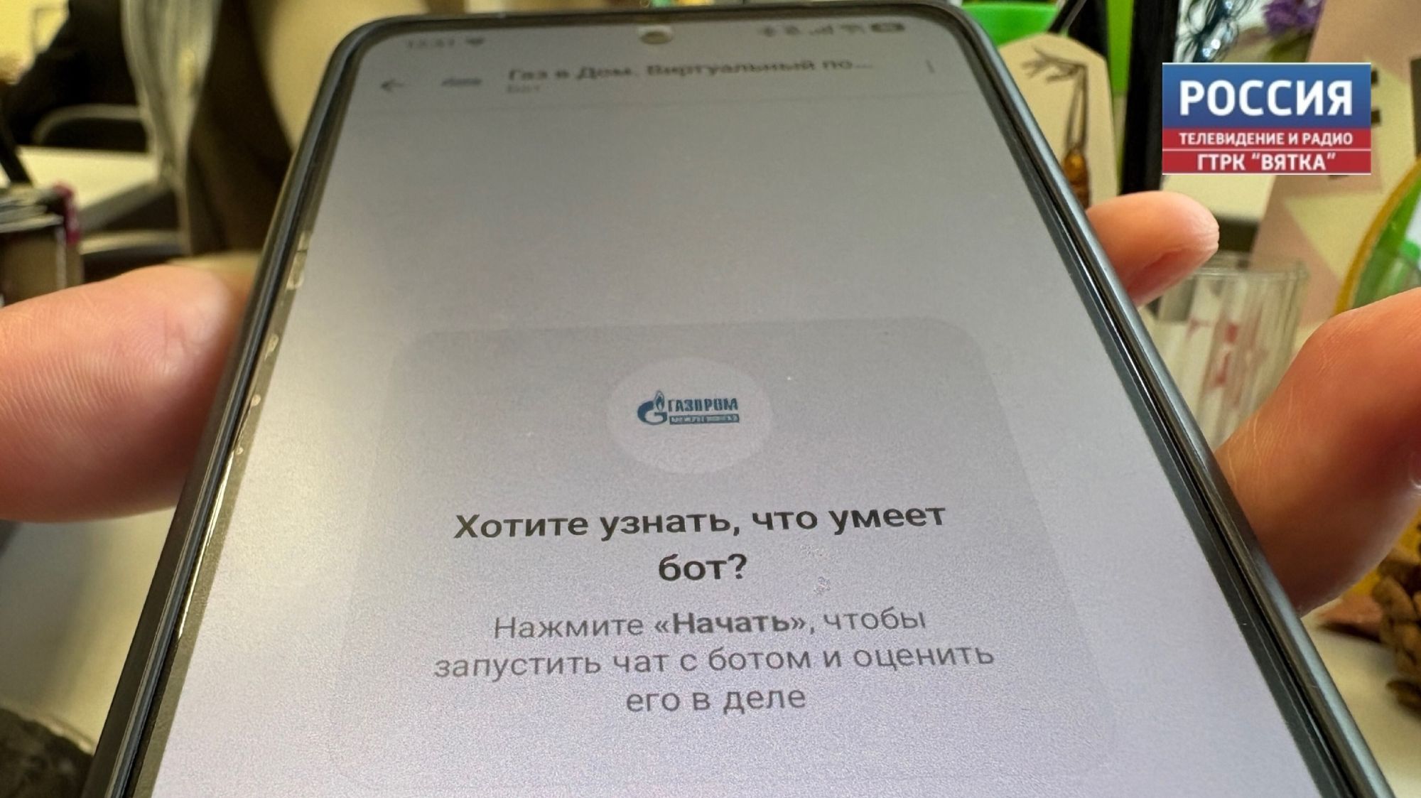 Через чат-бота в «Максе» кировчане могут узнать о догазификации