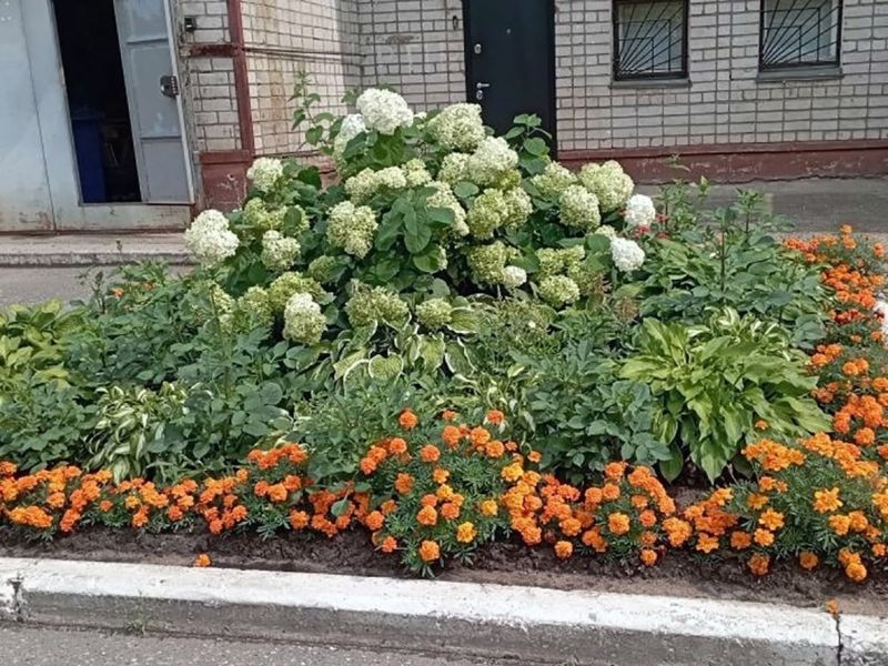 В Кирово-Чепецке продолжается приём заявок на смотр-конкурс «С любовью к городу»