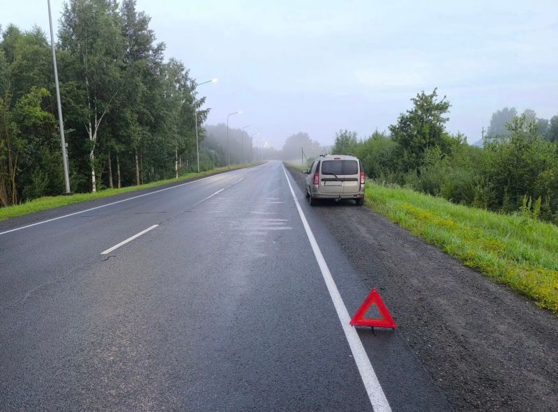 В Котельничском районе насмерть сбили пешехода