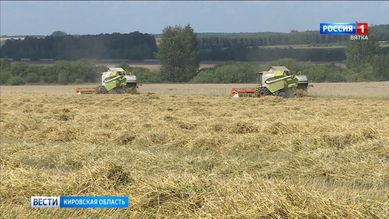 В Кировской области господдержку получили 62 фермерских и кооперативных хозяйства