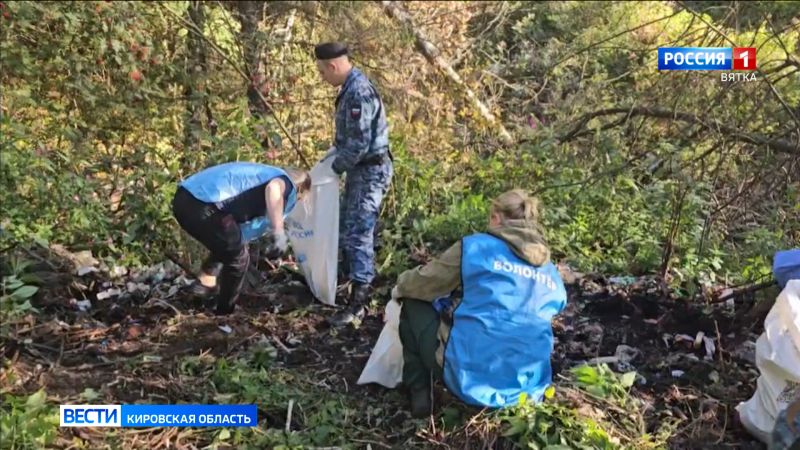 В лесах Кировской области убирают свалки
