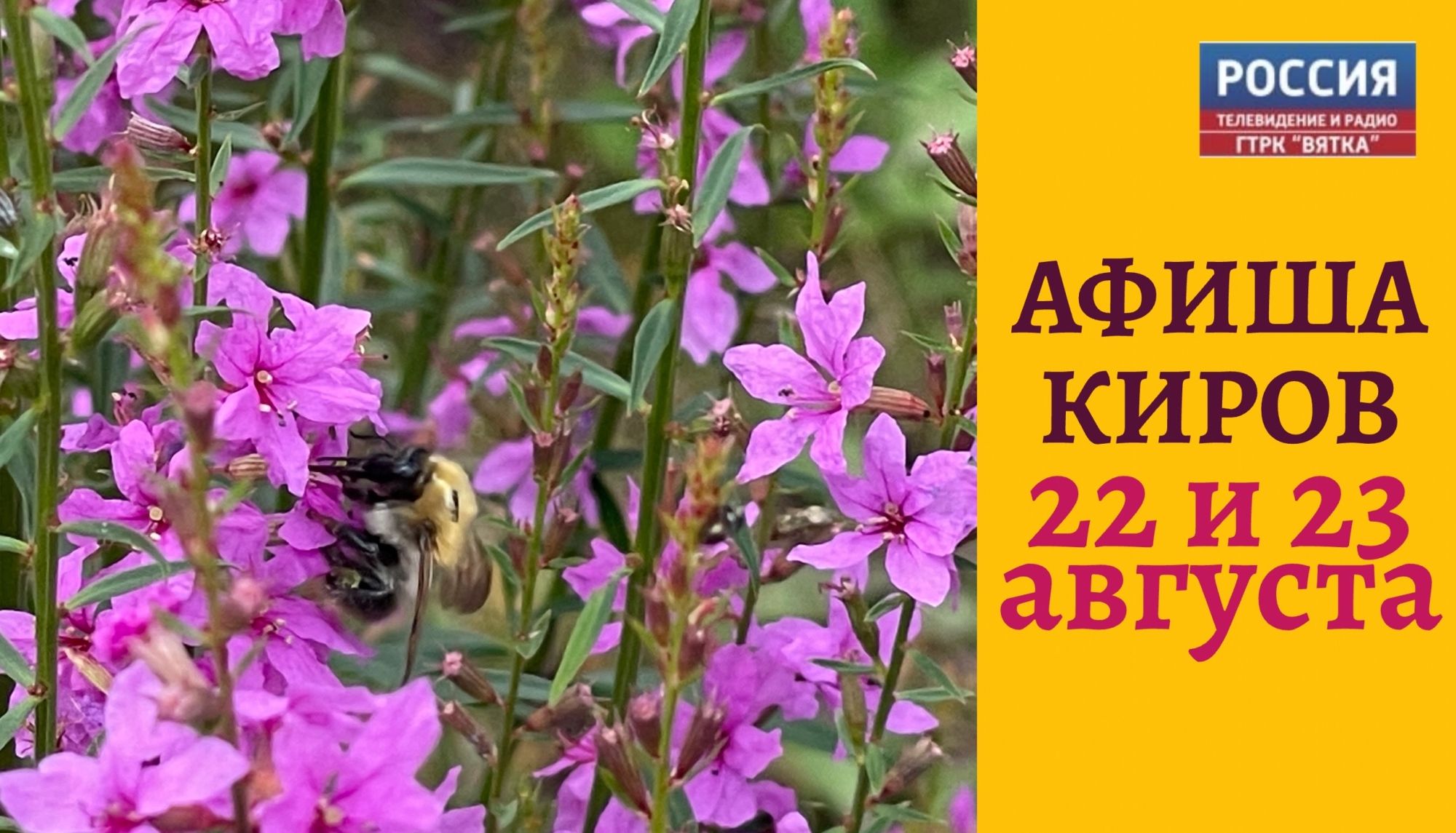 Мероприятия в Кирове 22 и 23 августа: афиша