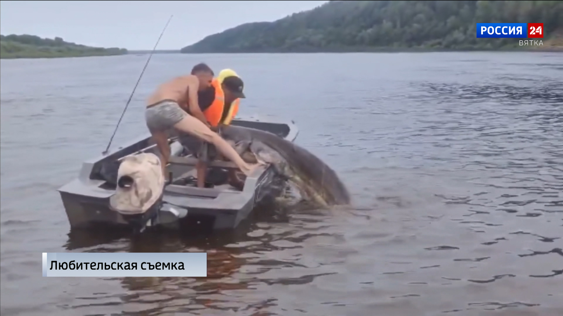 Рыбак из Вятских Полян обзавелся достойным трофеем