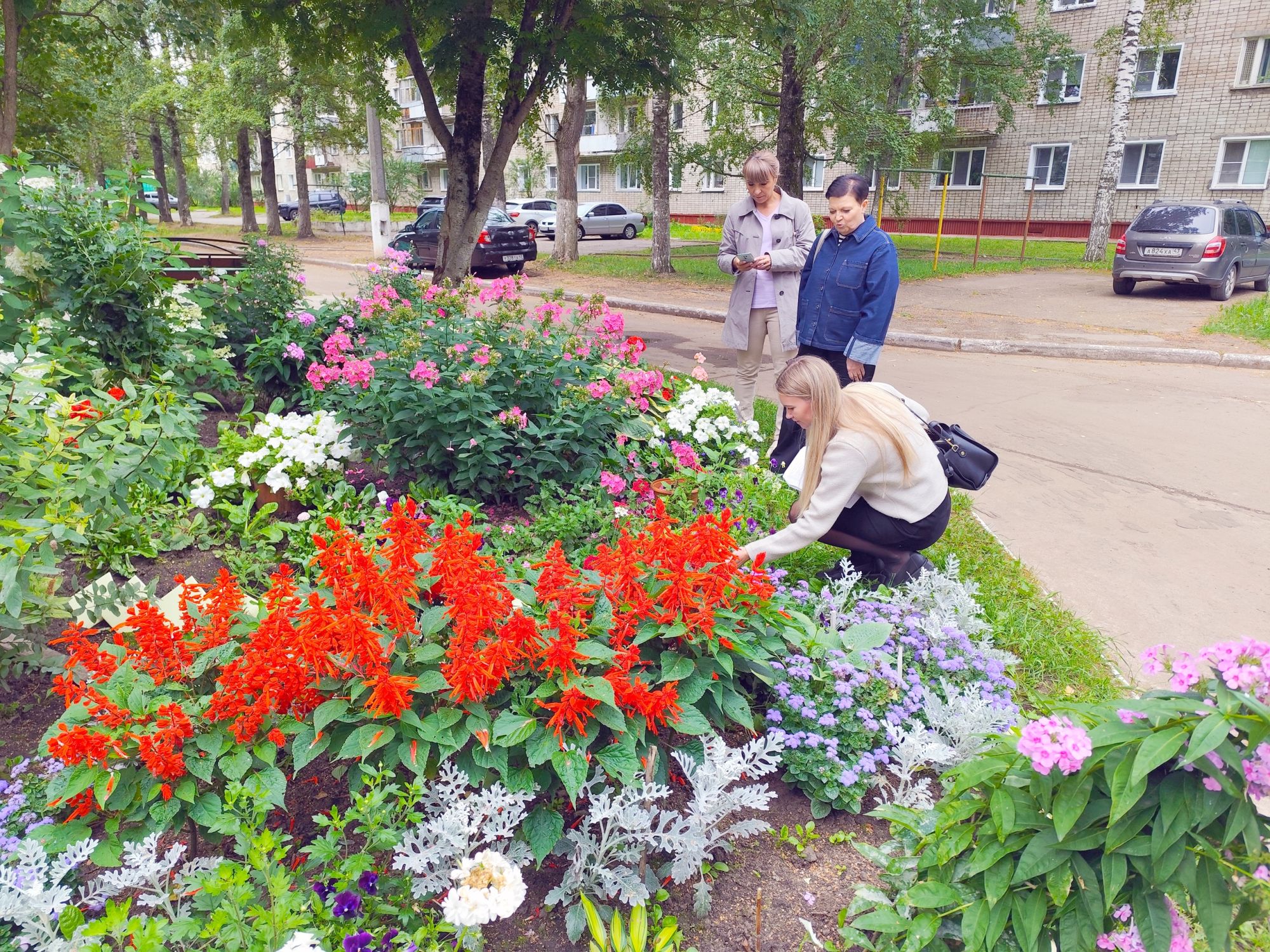 На конкурс цветников в Кирово-Чепецке поступило рекордное число заявок
