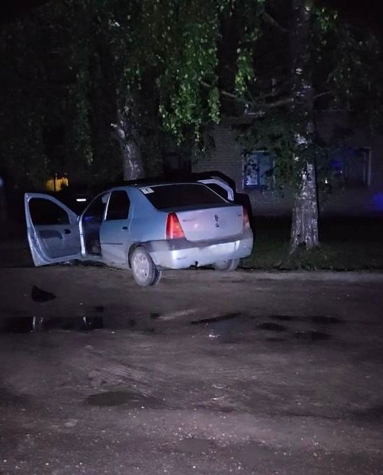 В Советске в ДТП с наездом на дерево пострадали четверо молодых людей