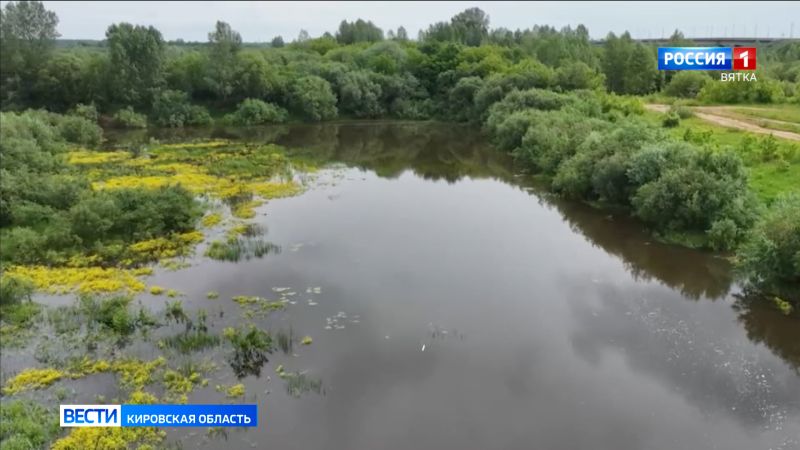 Пропавших в Кировской области супругов обнаружили погибшими в автомобиле, затонувшем в реке Вятке