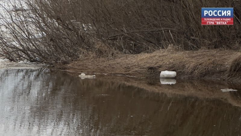 В Кировской области можно добыть боровую и водоплавающую дичь