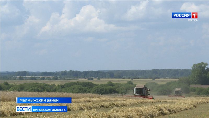 Аграрии Малмыжского района вышли на финишную прямую уборочной кампании