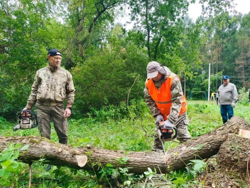 В Кирове в рамках подготовки к Дню города стартовали субботники