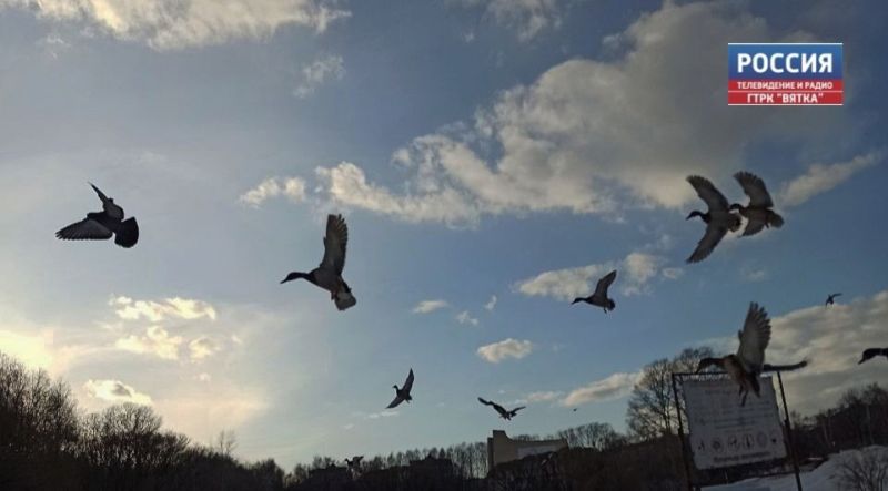 В пятницу в Кирове похолодает до  14 и возможен дождь