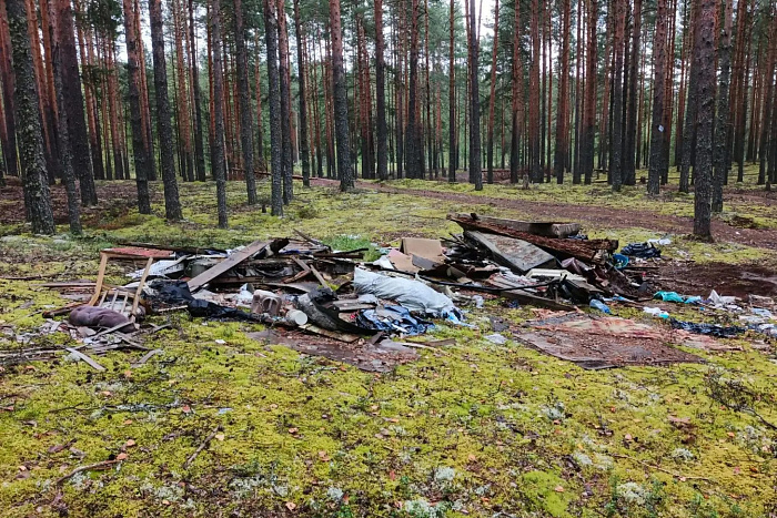 25 лесных свалок ликвидировано в Кировской области с начала этого года