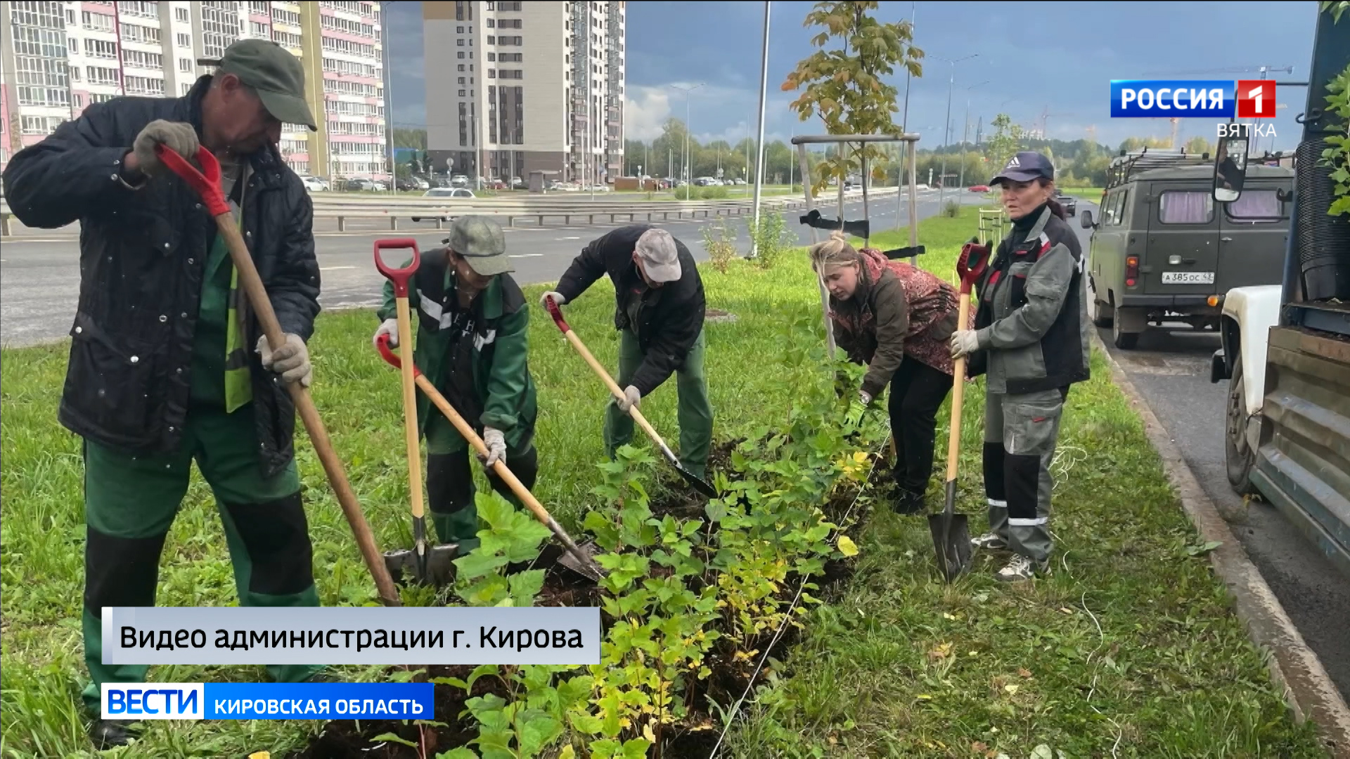 В Кирове начались осенние посадки деревьев и кустарников