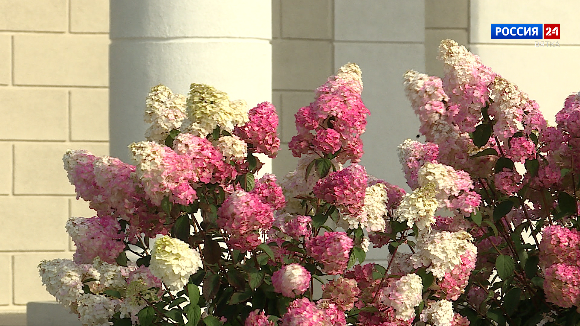 В четверг в Кировской области усилится юго-восточный ветер